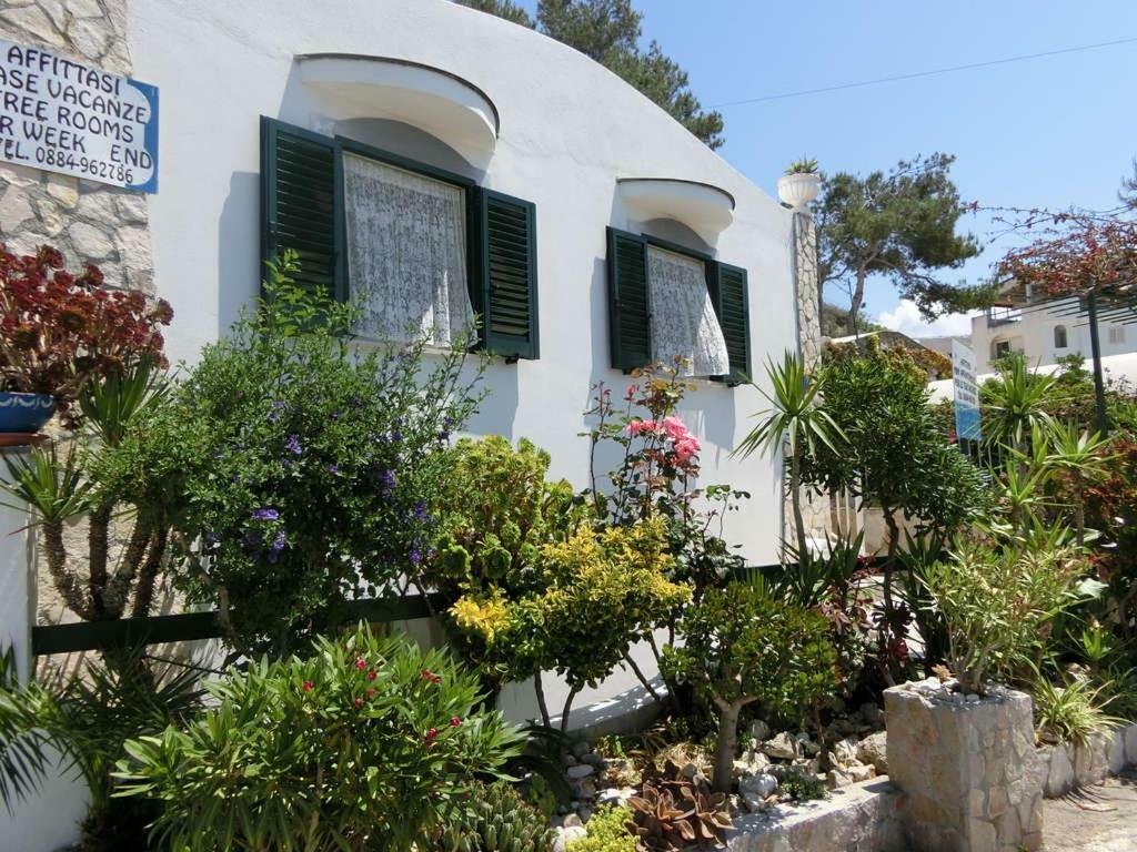 Blu Marine Casa A 10Mt Dalla Spiaggia Peschici Eksteriør billede